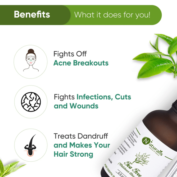 Naturalis Tea Tree Essential Oil – 120ml - Image 4